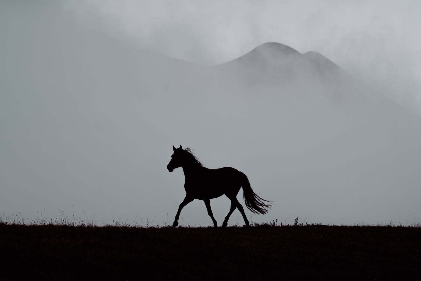 Fine Art Print «Through the Veil»