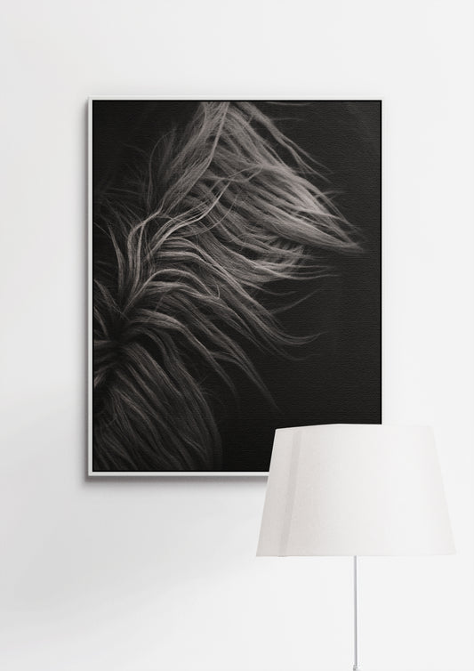 Fine Art Print «Roots»